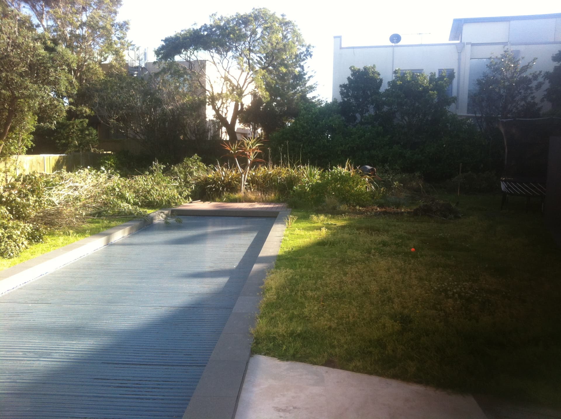 Before - the existing Dover Heights pool with overgrown gardens alongside