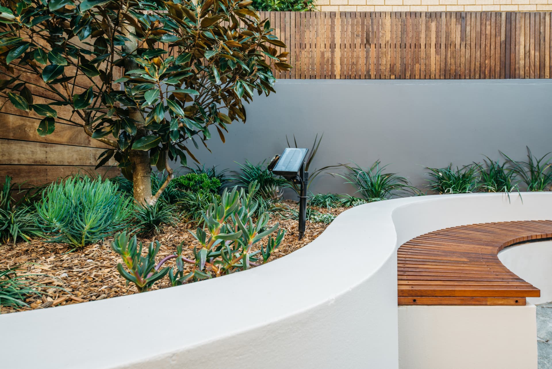 Curved rendered masonry wall with new garden planting at the Wareemba home