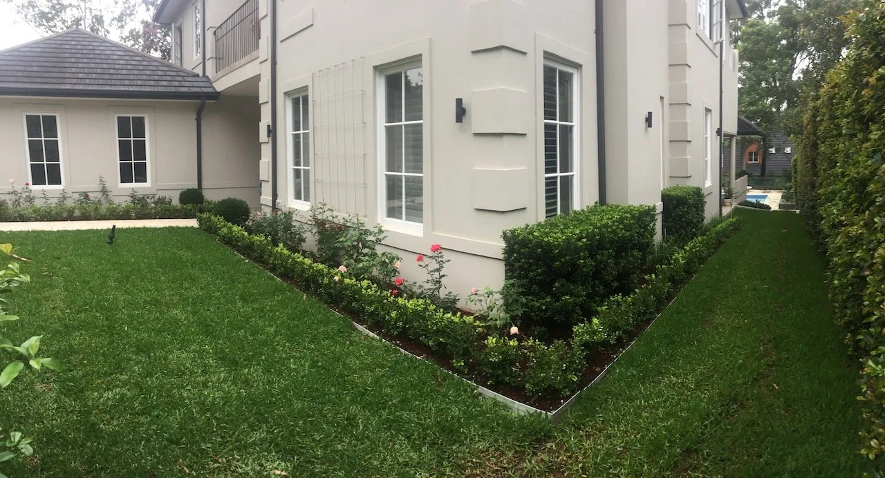 New hedge-lined garden beds and roses along the side of the Warrawee home