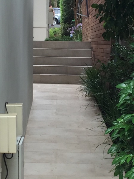Tiled side path with sandstone steps and layered garden planting at Warrawee