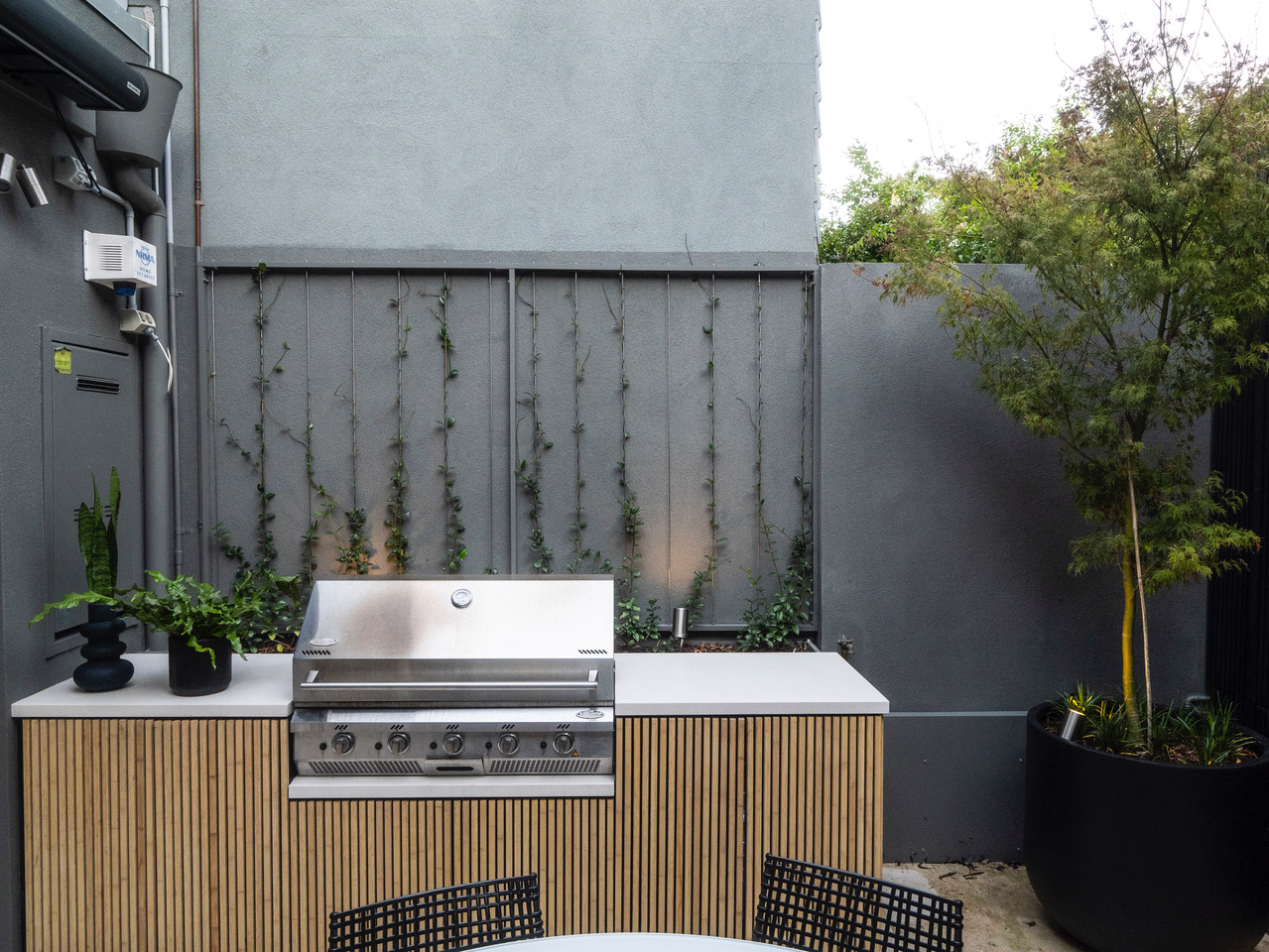 Compact Darlinghurst courtyard with built-in timber barbecue kitchen and climbing garden