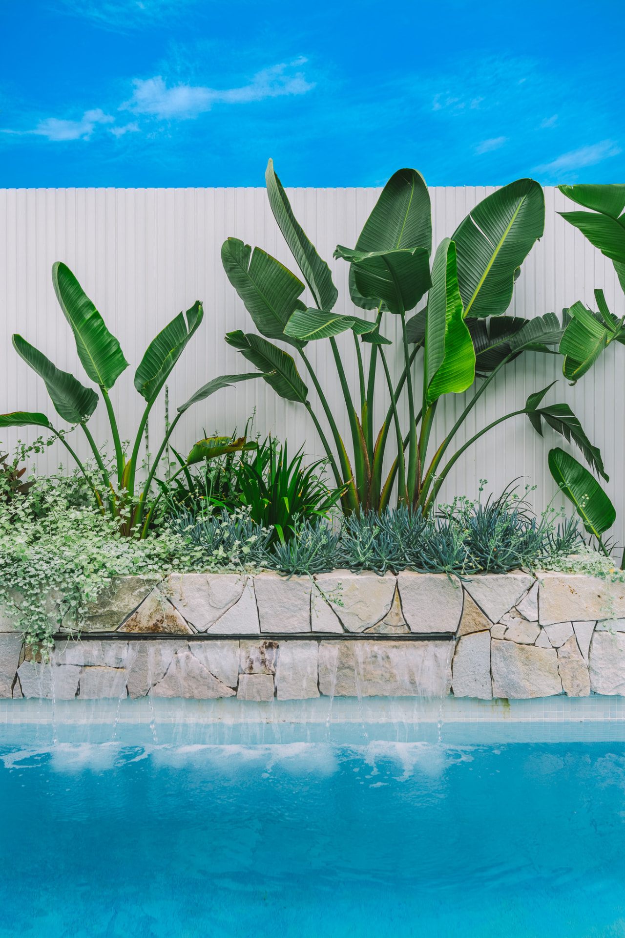 Sandstone-clad water feature wall with strelitzia planting and cascading spouts into the Chatswood pool