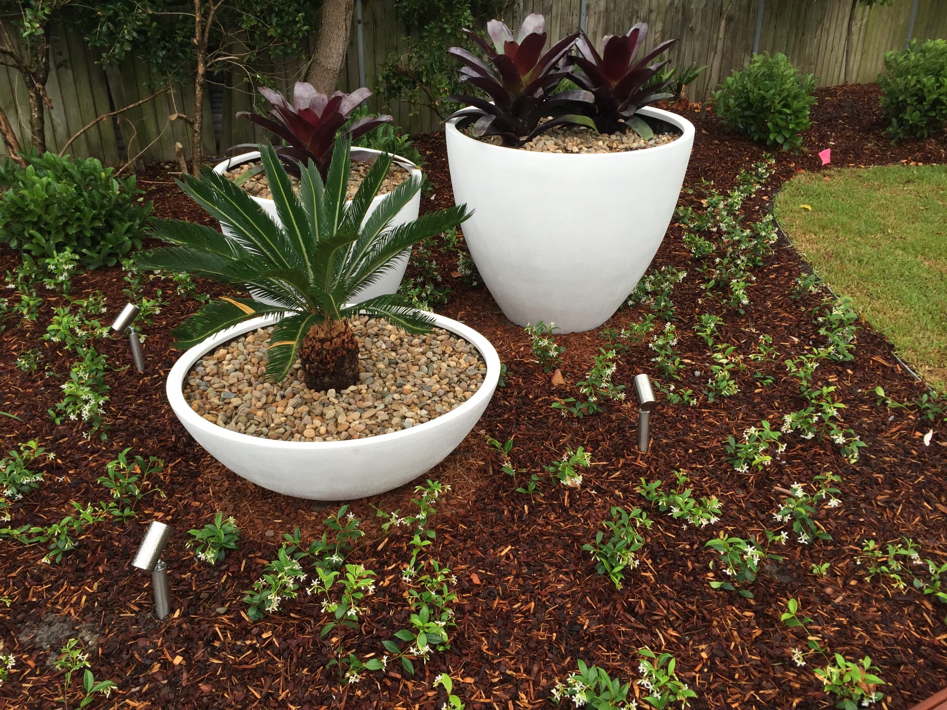 White planter pots with bromeliads in the restored Dover Heights gardens