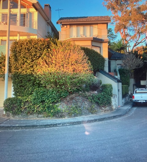 Frontage before the landscape design, with overgrown hedges and an undeveloped garden