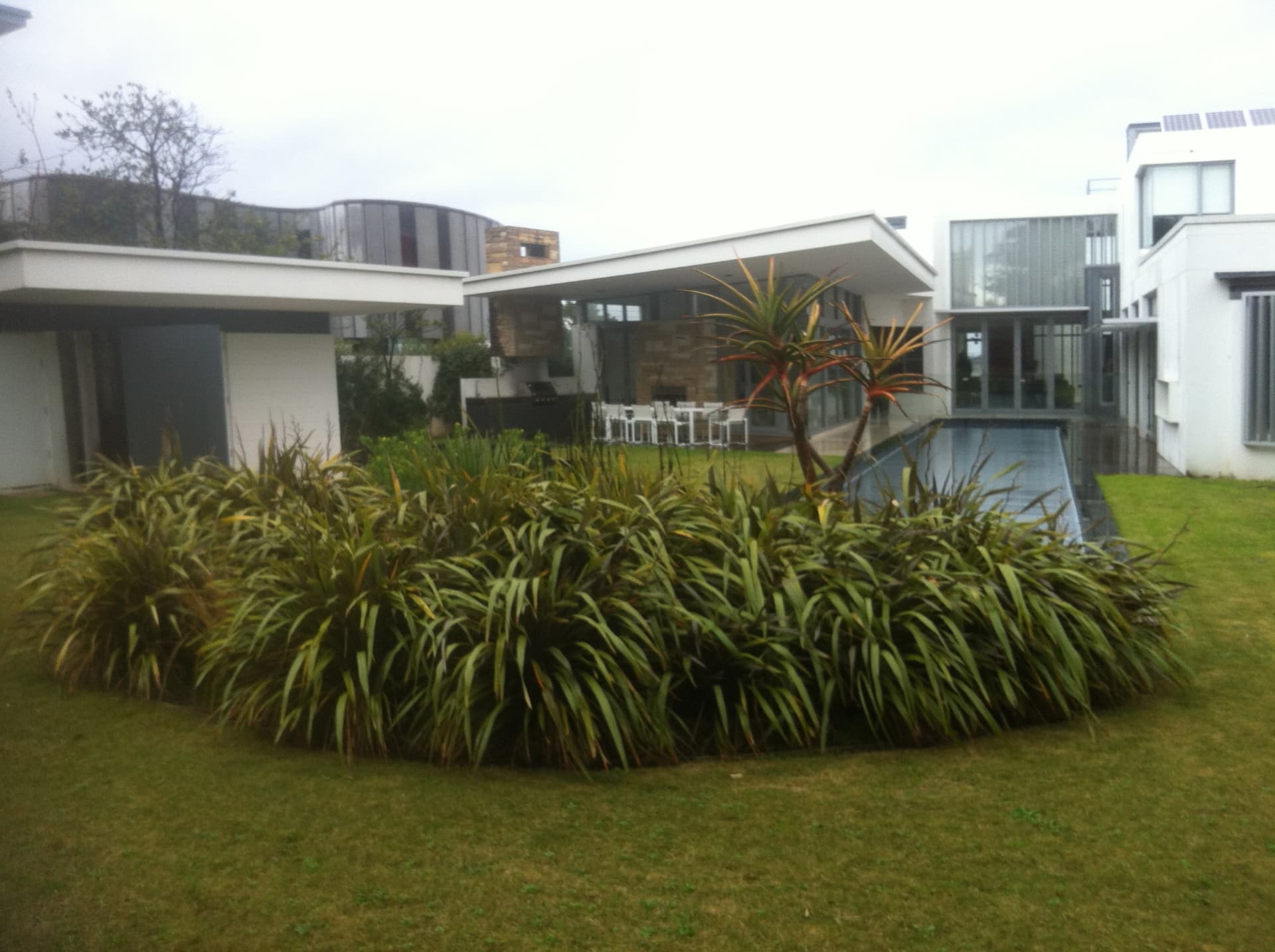 Before - overgrown garden beds and existing pool area at the Dover Heights property