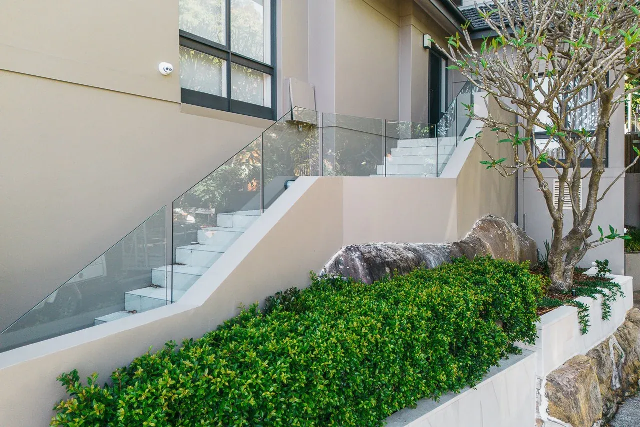 Tiled entry stairs with frameless glass balustrade, rendered wall and clipped hedge planting