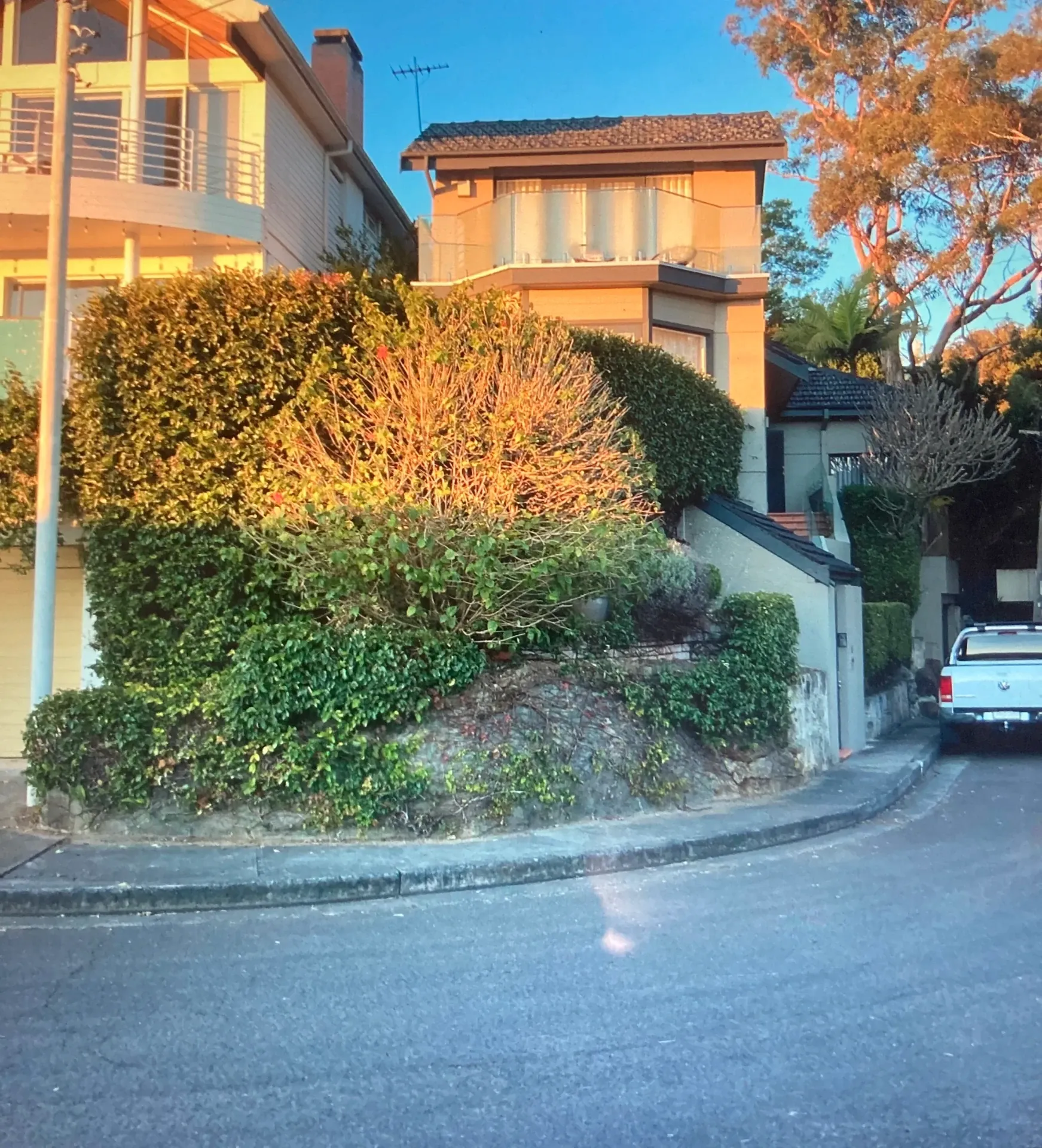 Before - original Cammeray frontage with overgrown hedging and dated retaining