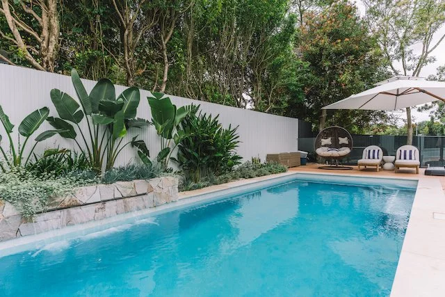 Chatswood pool beside a sandstone raised planter filled with strelitzia and tropical planting