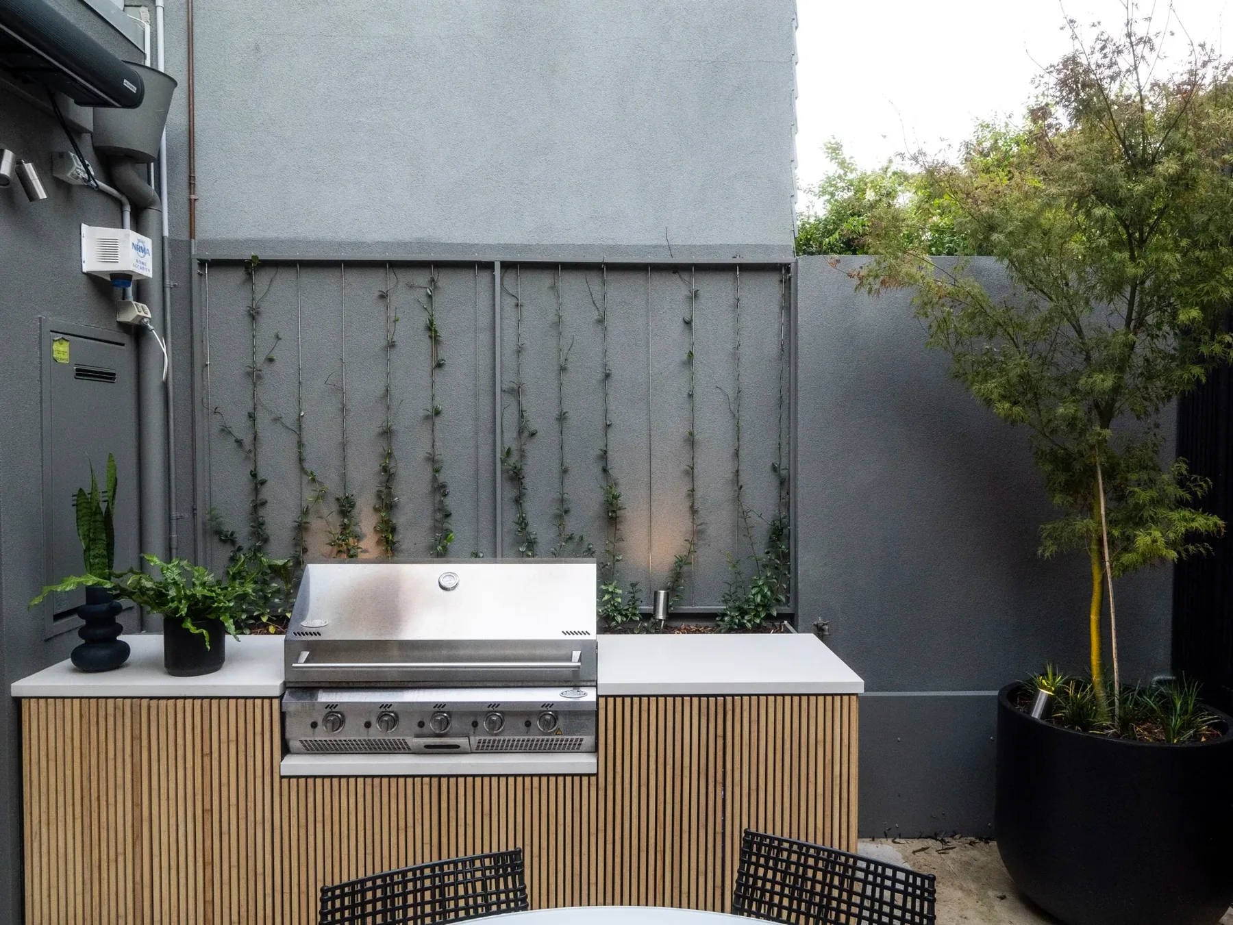 Outdoor kitchen with built-in BBQ, stone benchtop and wire trellis planting behind