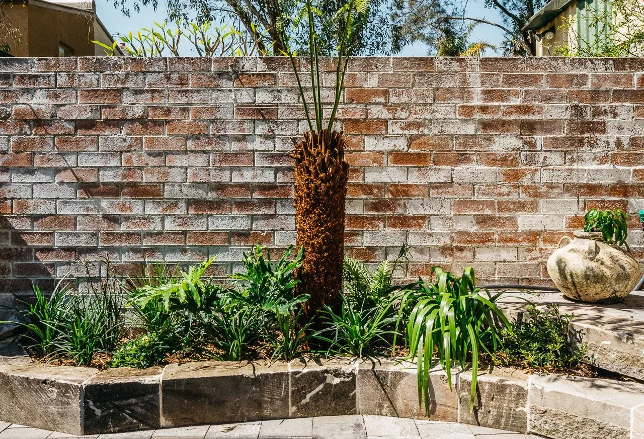 Recycled brick boundary wall with sandstone-edged garden bed and mature tree fern