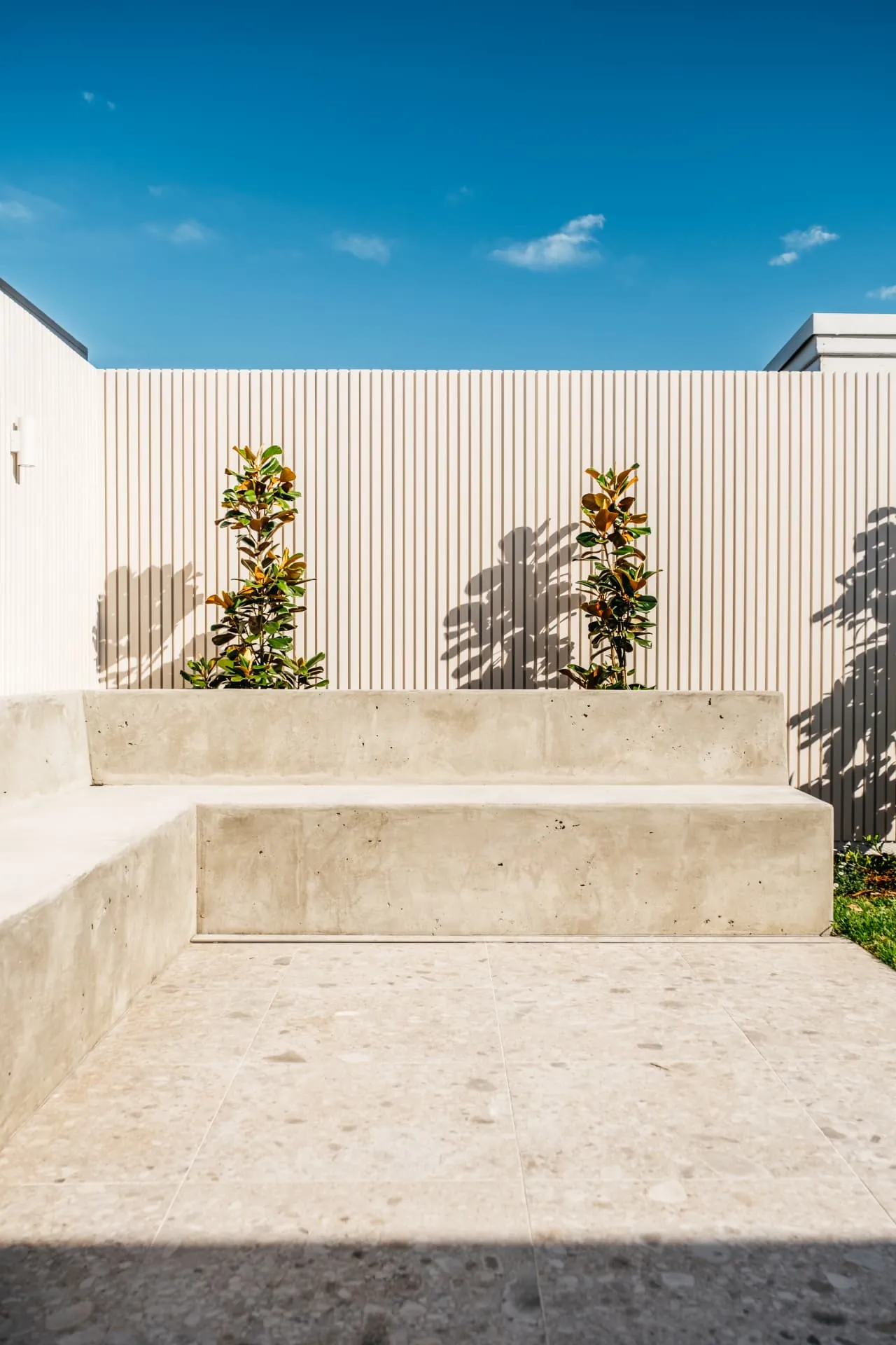 Board-formed concrete bench seat over travertine paving with magnolia hedging behind