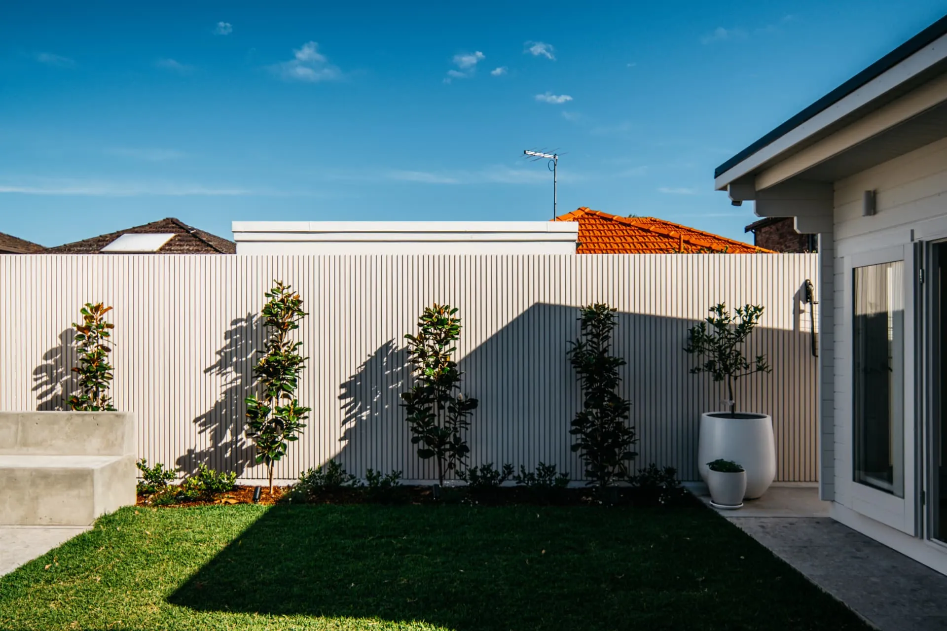 Battened boundary screening with magnolia hedging and pots along the Russell Lea courtyard
